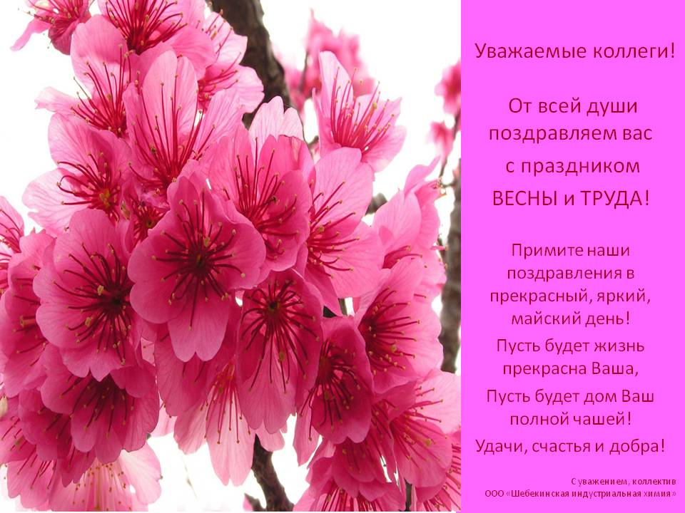 Вязание крючком цветы видео-мак 50